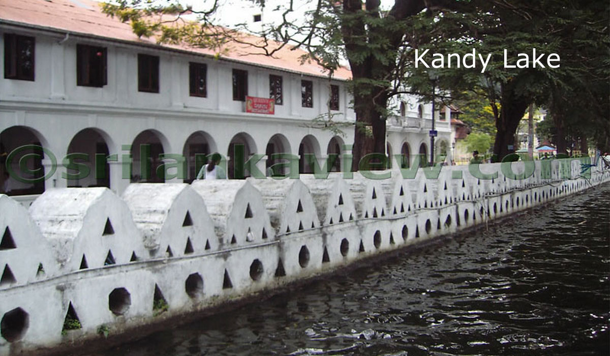 Kandy Lake Diyareli Bamma< 