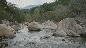 Belihul Oya water stream
