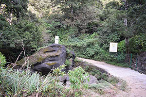 Kabaragala Waterfall vicinity
