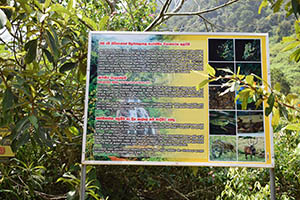 Mandaramnuwara Viewpoint
