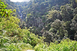Kolapathana Waterfall-Mandaramnuwara
