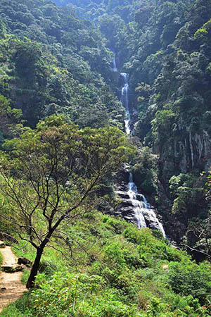 Kolapathana Waterfall-Mandaramnuwara
