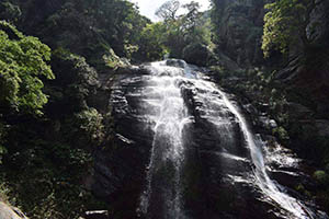 Kolapathana Waterfall-Mandaramnuwara
