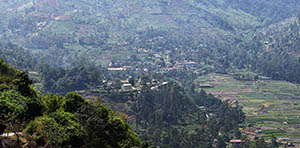 Mandaramnuwara Viewpoint 