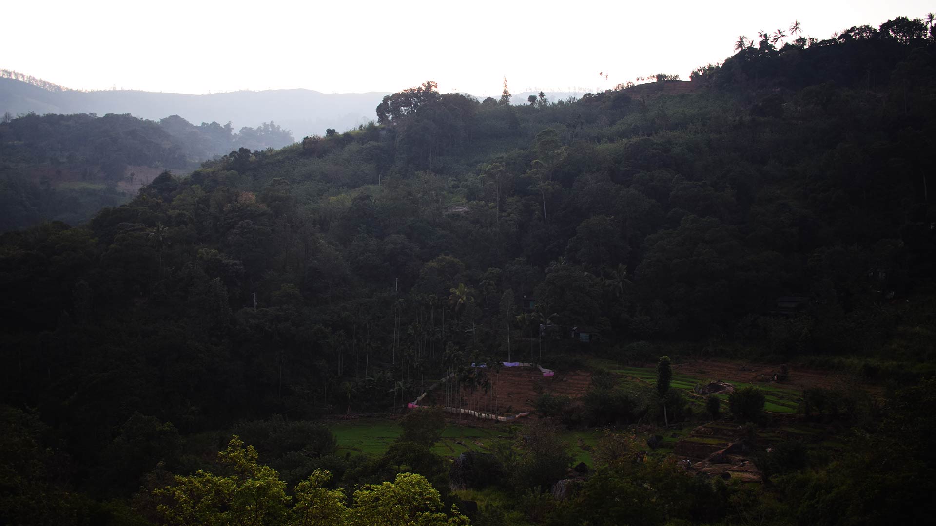 Mandaramnuwara at Dawn