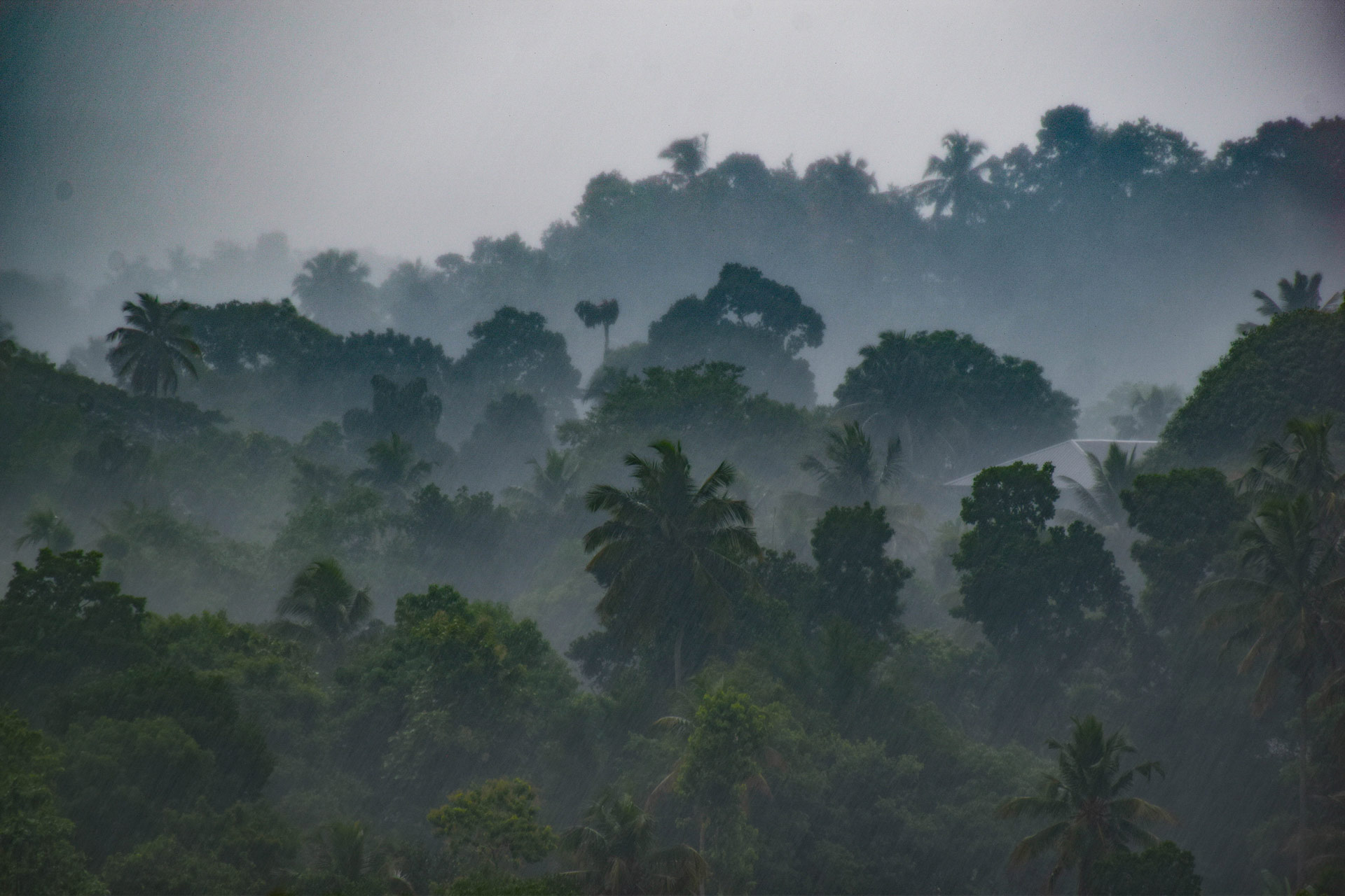Monsoon rain  at the hills