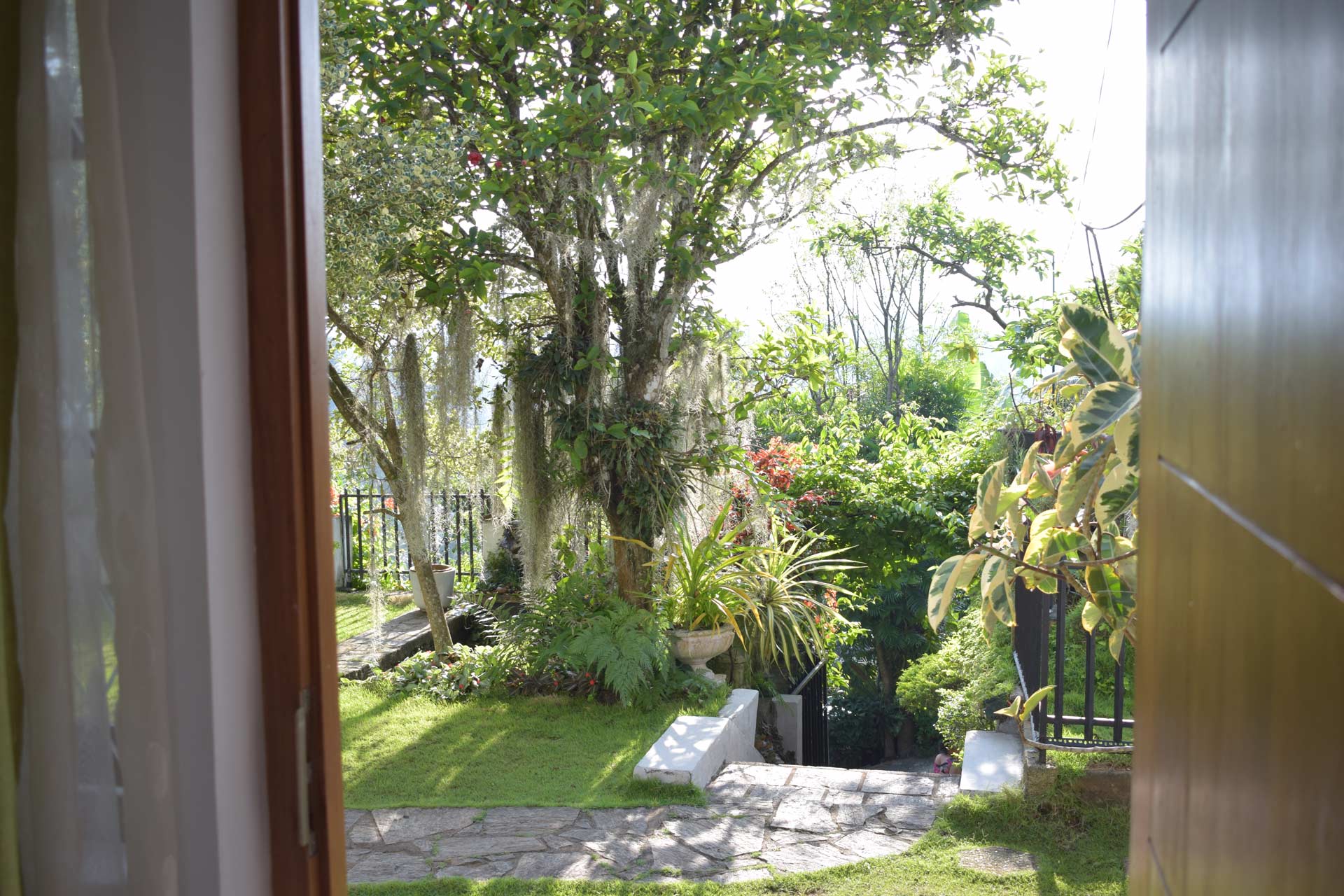View from the room with mist cover at background