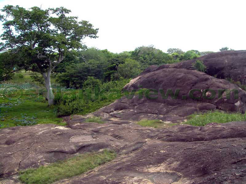 End of the rock and where the tank begins.