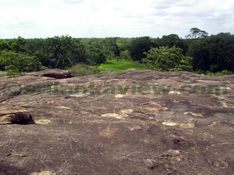 View from rock surface.