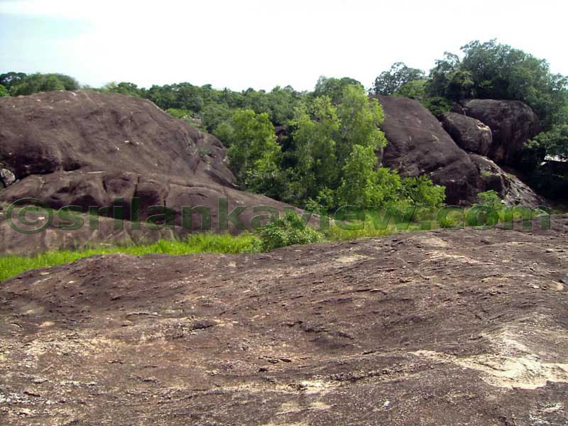 Rock boulders nearby.