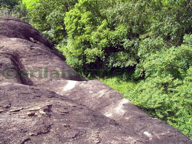 Top of trees are seen.Looking down from an edge of the rock.
