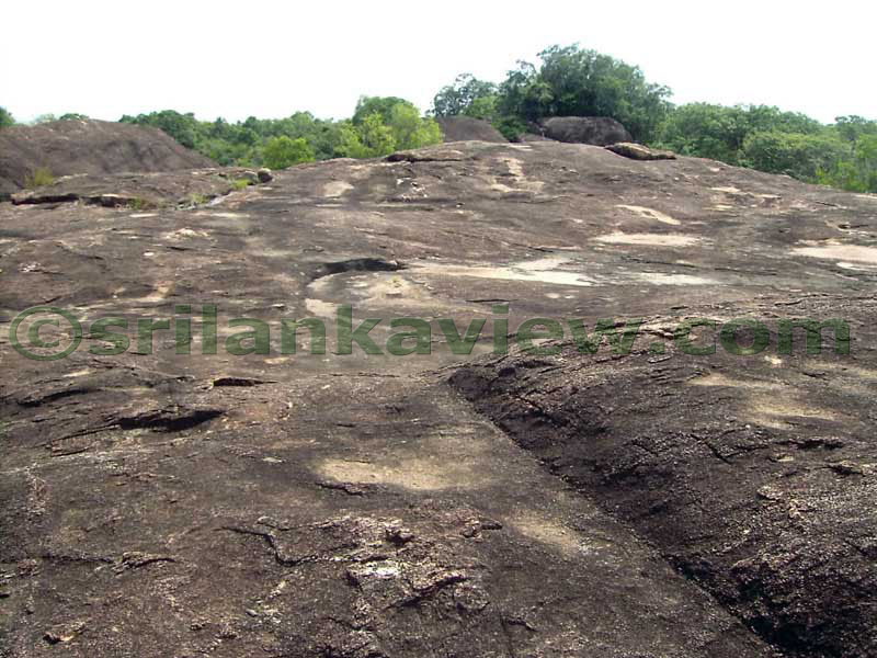 Rock surface.