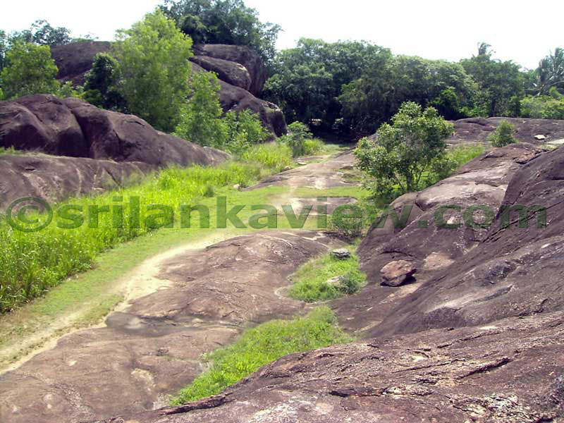 Looking towards the begining of the path from the rock where the trees are seen.