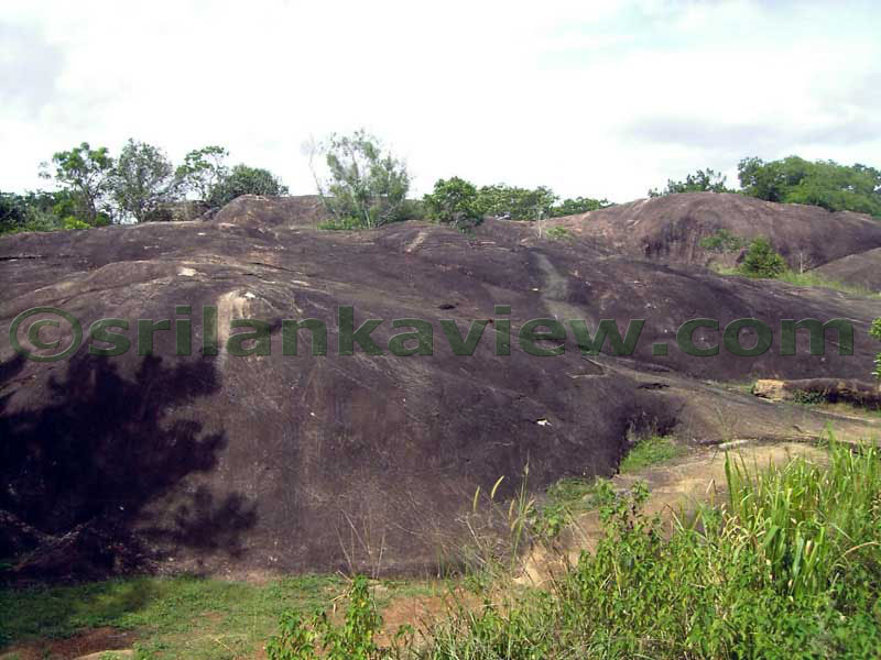 Notice the peculier black colour of the rock.