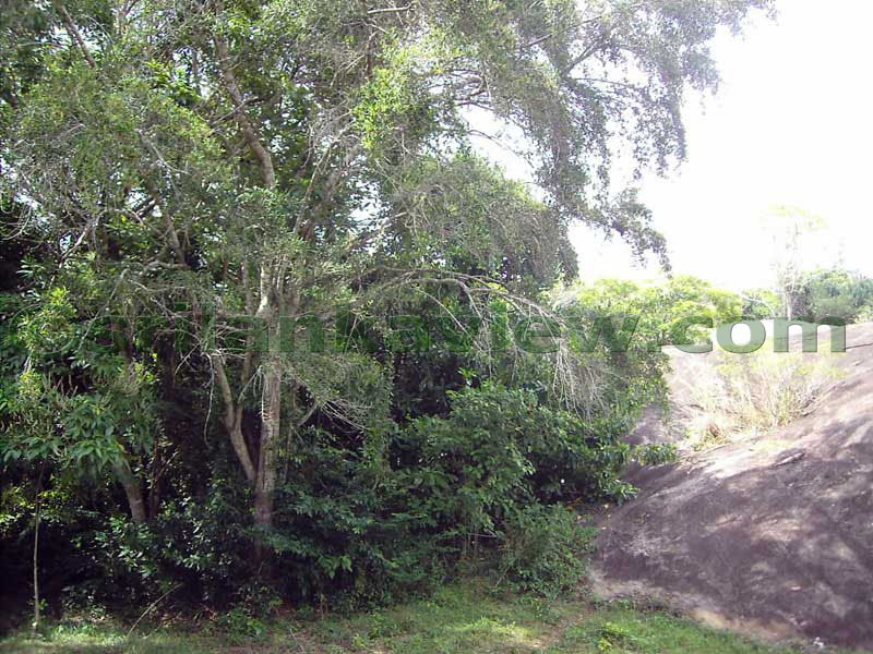 Ascending of the rock. Left side of the path